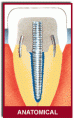 filpost multidental