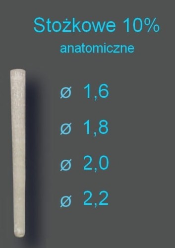bioloren stożkowe 10% wkłady multidental